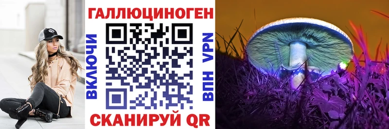 купить сайты Алексеевка Псилоцибиновые грибы Cubensis